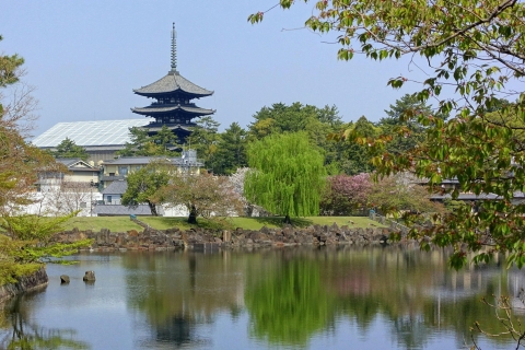 Nara Park en Kofuku-ji audiogids: De betoverde tuinennarapark-optie