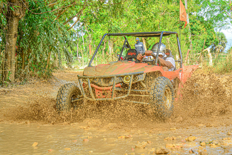 Punta Cana: Macao Reserve Premium Buggy Adventure with Guide Premium Single Rider Buggy