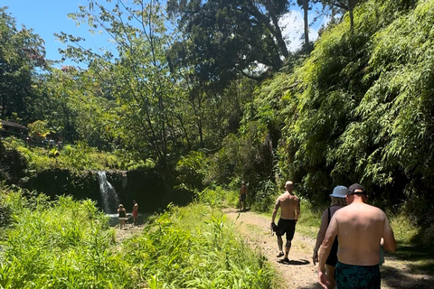 Maui's Sea Turtle & Waterfalls: Taste of Hana Guided Tour