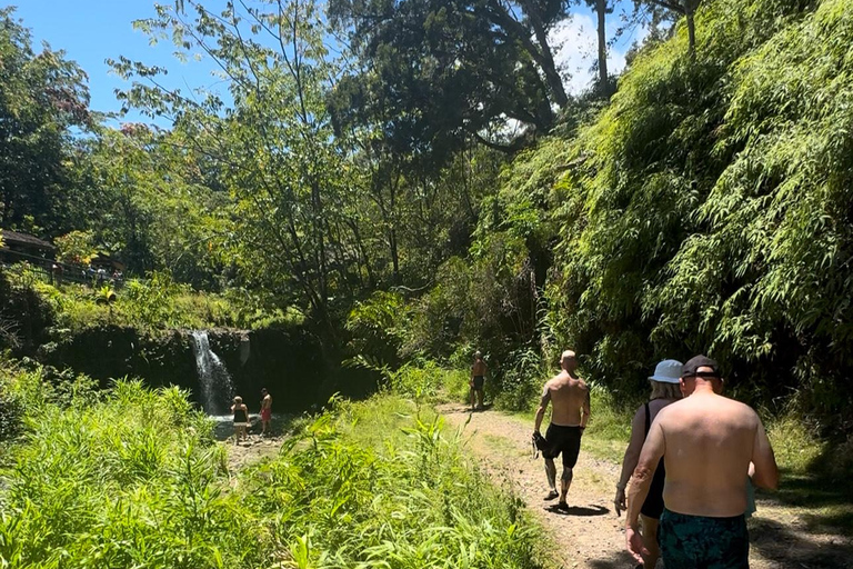 Maui's Sea Turtle & Waterfalls: Taste of Hana Guided Tour