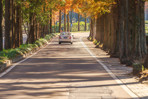 Hangzhou Autumn Exclusive: Manlong Guiyu Hiking Trail