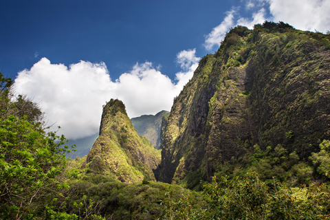 Desde Oahu: Lo mejor de Maui/Haleakala - Sorbos, sitios y bocados