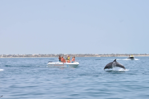 Djerba: Jet Ski Experience with Dolphin Sightings