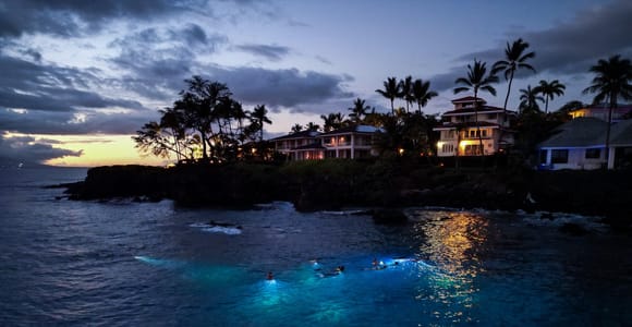 Turtle Town After Dark: Snorkel With Lights & stars