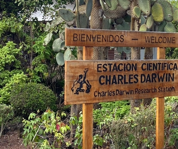 Galápagos : visite guidée de 5 jours avec hébergement