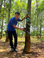 Tour privado a Long Tan nui dat Battle Field - Housity