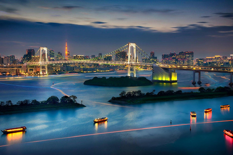 Tokio Ganztagestour Skytree Meiji-Schrein mit englischem Fahrer