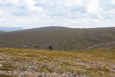 Saariselkä: Hiking Day with Lunch in Kiilopää