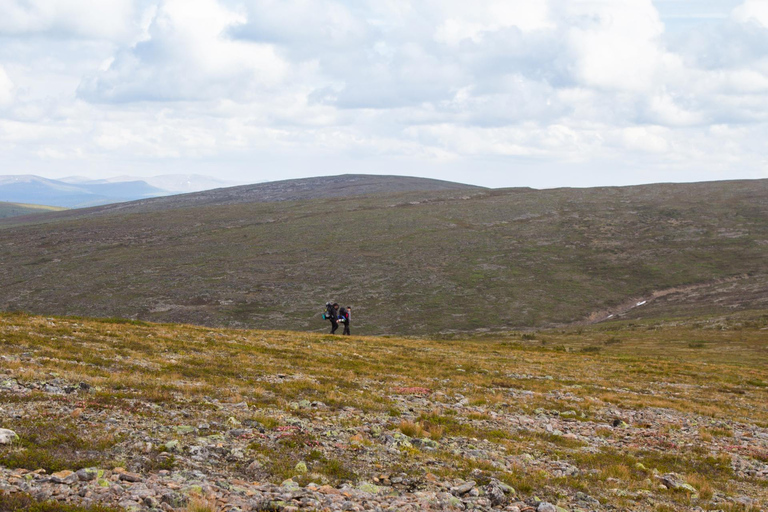 Saariselkä: Hiking Day with Lunch in Kiilopää