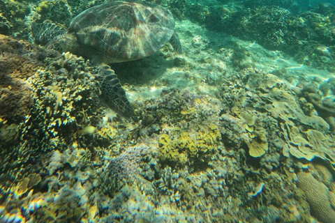 Private Trip Snorkeling: Gili Trawangan, Gili Meno, Gili Air