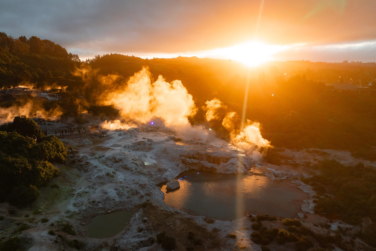 Te Puia: Te Pō Combo: Te Rā, Dinner, and Haka Performance
