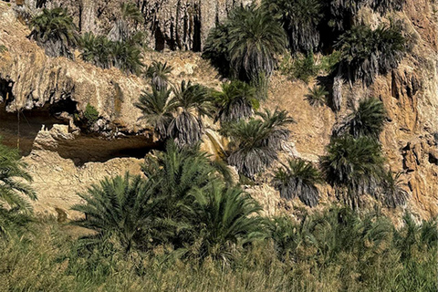 Salalah: Overnight Trip to Shuwaymiyah with Dinner