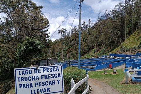 Salento: Cocora Valley, Catch Trout for Lunch & Play Tejo