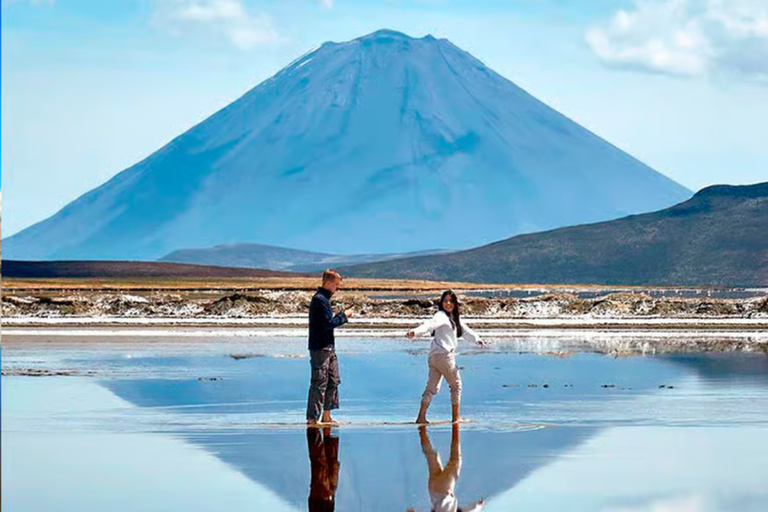 Arequipa: Salinas 2026 Tour – Wetlands, Flora, Fauna, and Volcanic Views