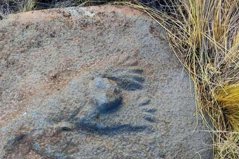 From Puno || Excursion to Cutimbo - Half Day ||