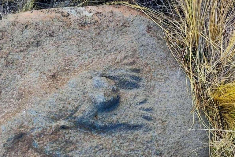 From Puno || Excursion to Cutimbo - Half Day ||