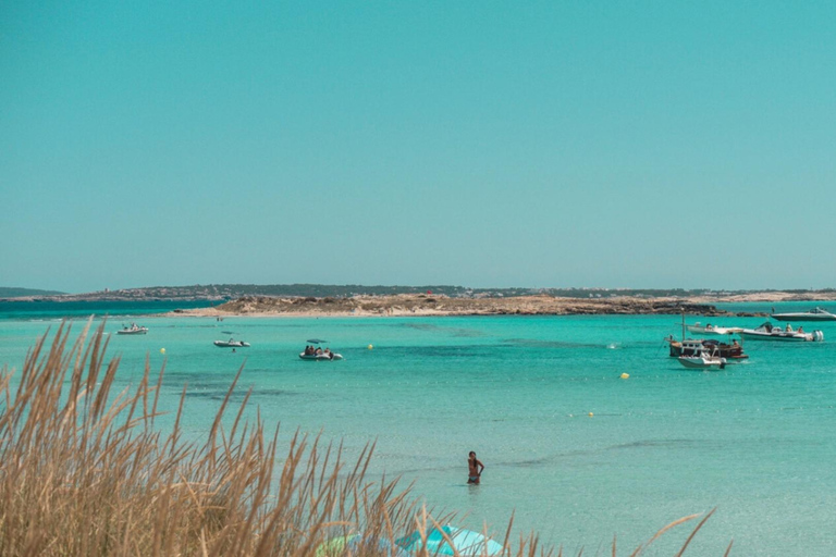 Ibiza: Formentera Tour with Meals Water Activity & Free Time