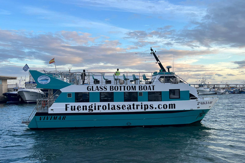 Fuengirola: Katamaran-Tour zur Delfinbeobachtung