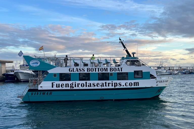 Fuengirola: Tour in catamarano per avvistare i delfini