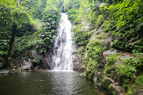 Medellín: Jungle Trekking, Waterfall Swim, & Coffee Tour