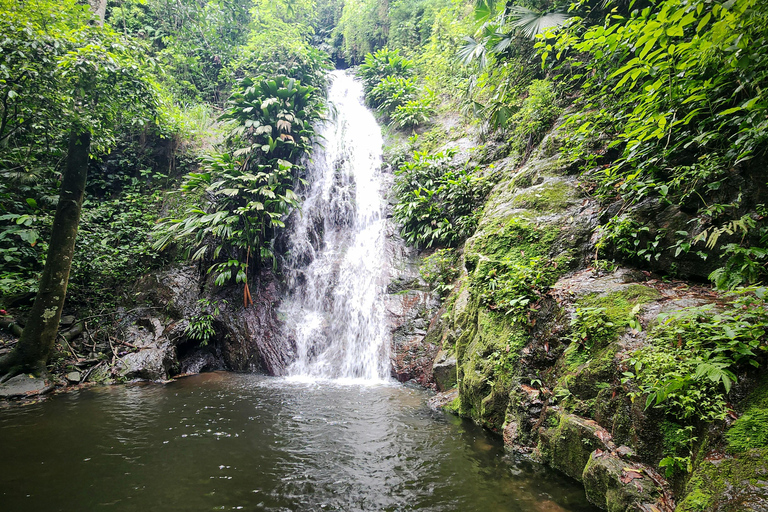 Medellín: Jungle Trekking, Waterfall Swim, & Coffee Tour