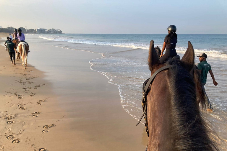 Horse Riding in Port City