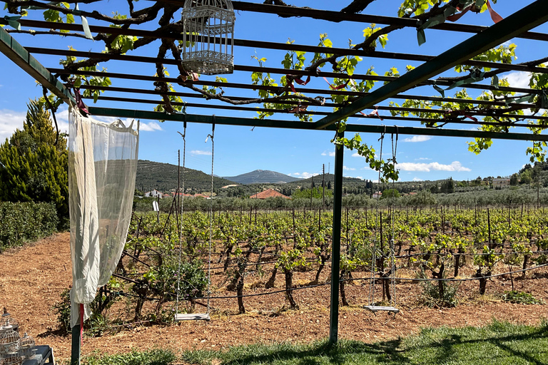 From Athens: Nemea Wine Tour with Corinth Canal Stop