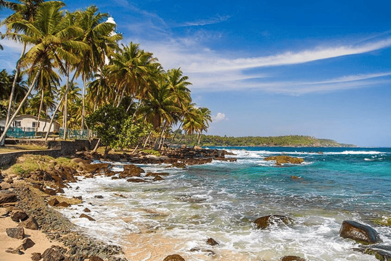 Colombo: Transfer nach Tangalle ($110 pro Gruppe bis zu 3 Personen)