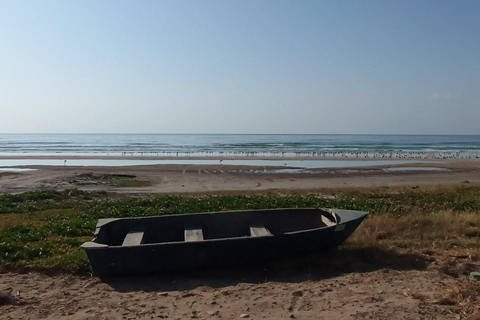 Dhofar: Salalah City and East Salalah Private Tour