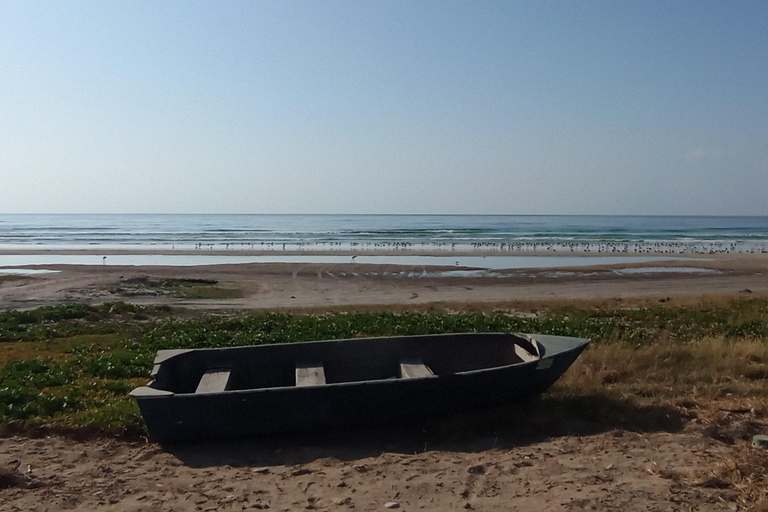 Dhofar: Salalah City and East Salalah Private Tour