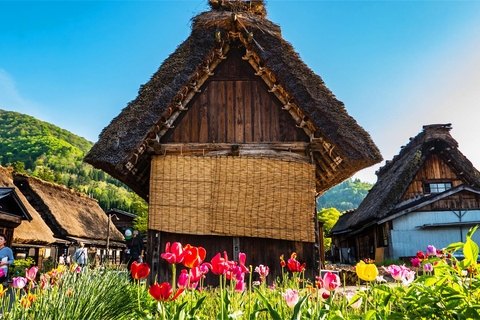 Visite d&#039;une jounée de Shiragawago, Hida Takayama et l&#039;UNESCO au départ de Nagoya