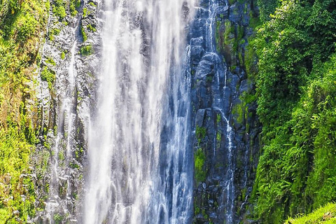 Arusha: Dagsutflykt till Mount Merus vattenfall med lunch