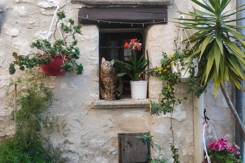 Excursión de día completo por la Costa AzulExcursión de día completo a la Costa Azul