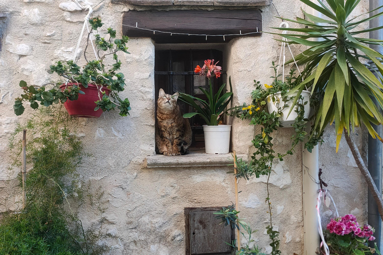 Excursión de día completo por la Costa AzulExcursión de día completo a la Costa Azul
