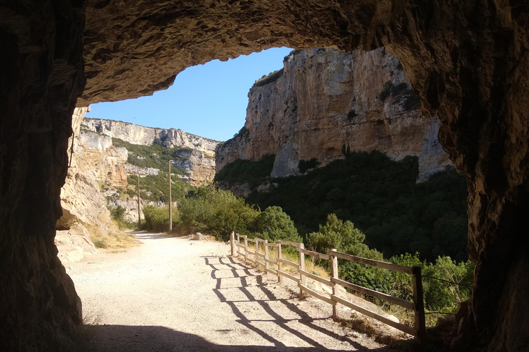 غابة إيراتي ورحلة أوتشاغافيارحلة استكشافية إلى غابة إيراتي وأوشاغافيا