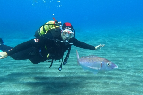 Découvrez la plongée sous-marine à Tenerife ! La meilleure expérience !