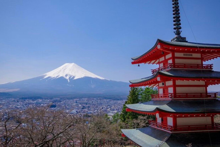 From Tokyo: Mount Fuji Full Day Customizable Private Tour