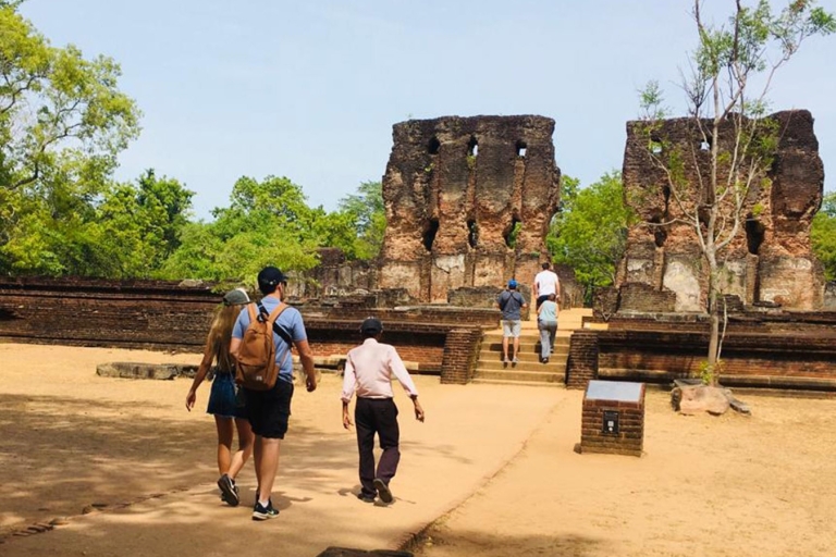 Visite de Polonnaruwa et safari à dos d'éléphant à Minneriya