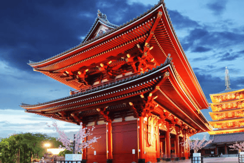 Visite d&#039;une jounée privée de Tokyo avec chauffeur parlant anglais