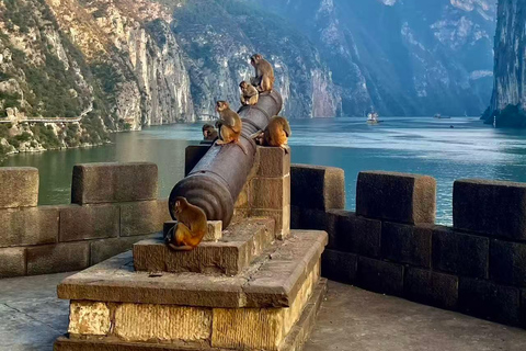 Chongqing: Baidi City & Qutang Gorge—Epic Landscape Access