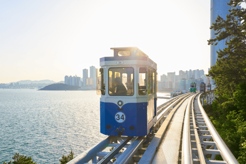 Busan: Topattracties met gids voor één dag