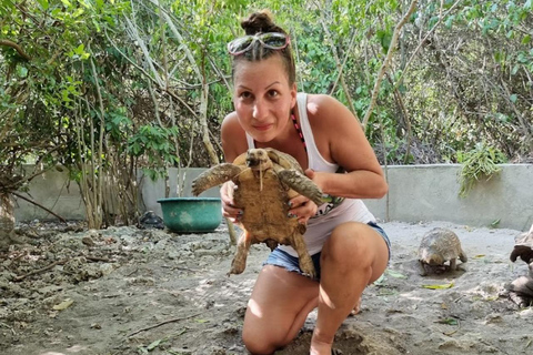 Zanzibar: Maasai Culture Tour & Nungwi Kilosa Zoo