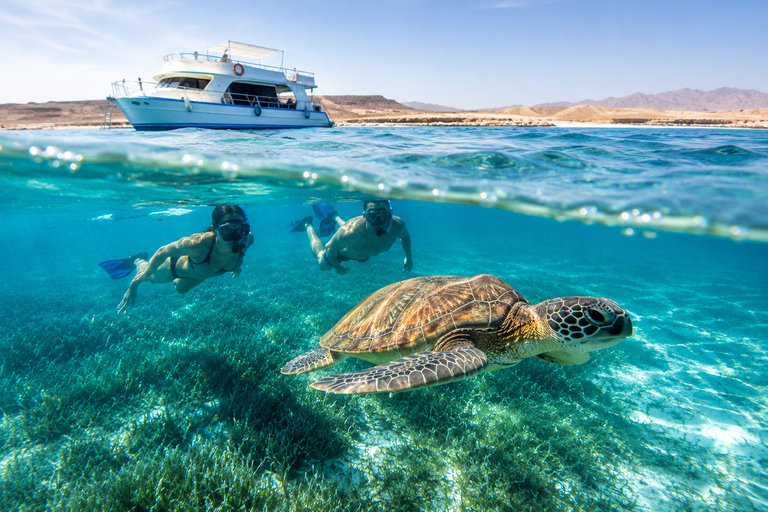 Marsa Alam: Diving & Snorkel Trips on the Boat with Lunch