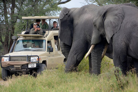 Tanzania: 2-Day Tarangire and Ngorongoro Crater Safari