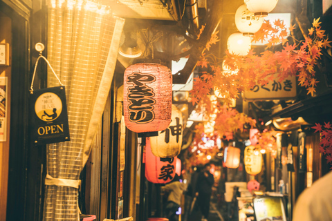 Nagoya: Nightlife Tour with Drinks and Food