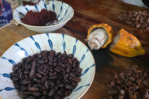 Puerto Maldonado: Private Chocolate Class
