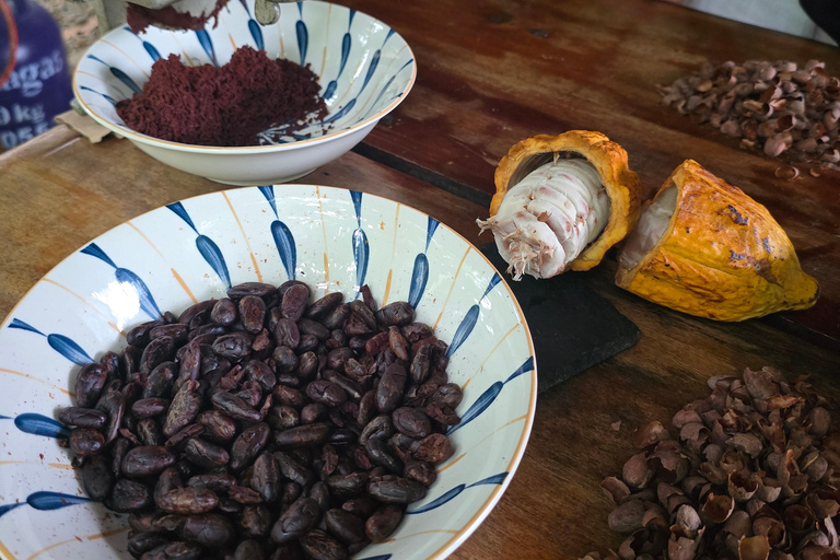Puerto Maldonado: Private Chocolate Class