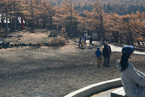 Tokyo: Tour guidato dall&#039;Ing di 2 giorni del Monte Fuji e della città di Tokyo