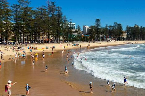 Wet &amp; Dry Manly z Sydney