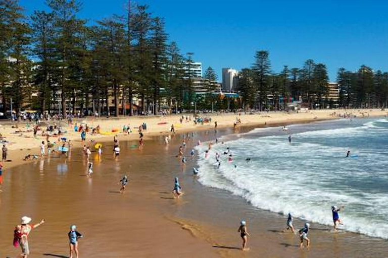 Wet &amp; Dry Manly z Sydney